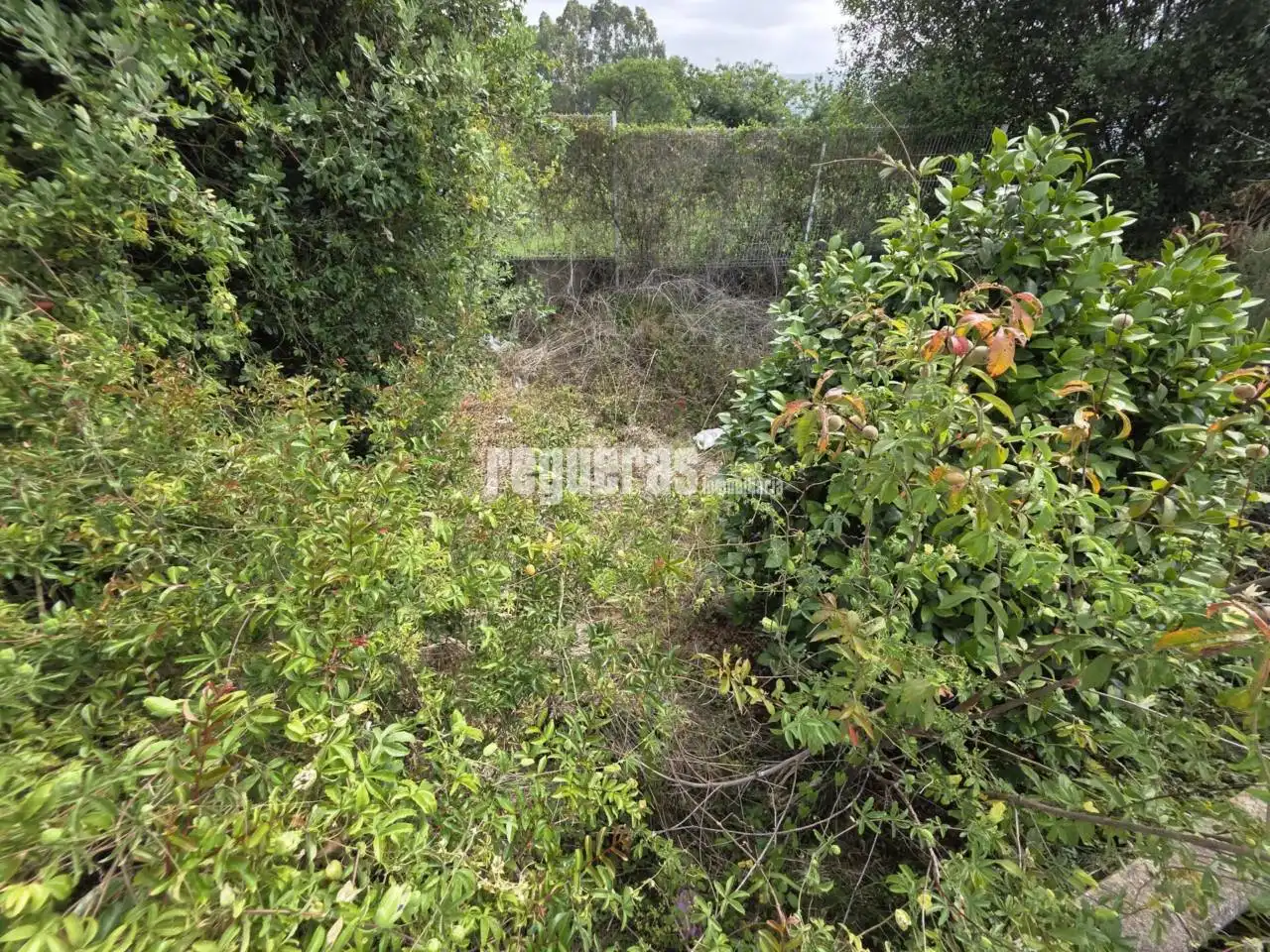 Casa o chalet en venta en Illas con Calefacción y Jardín privado