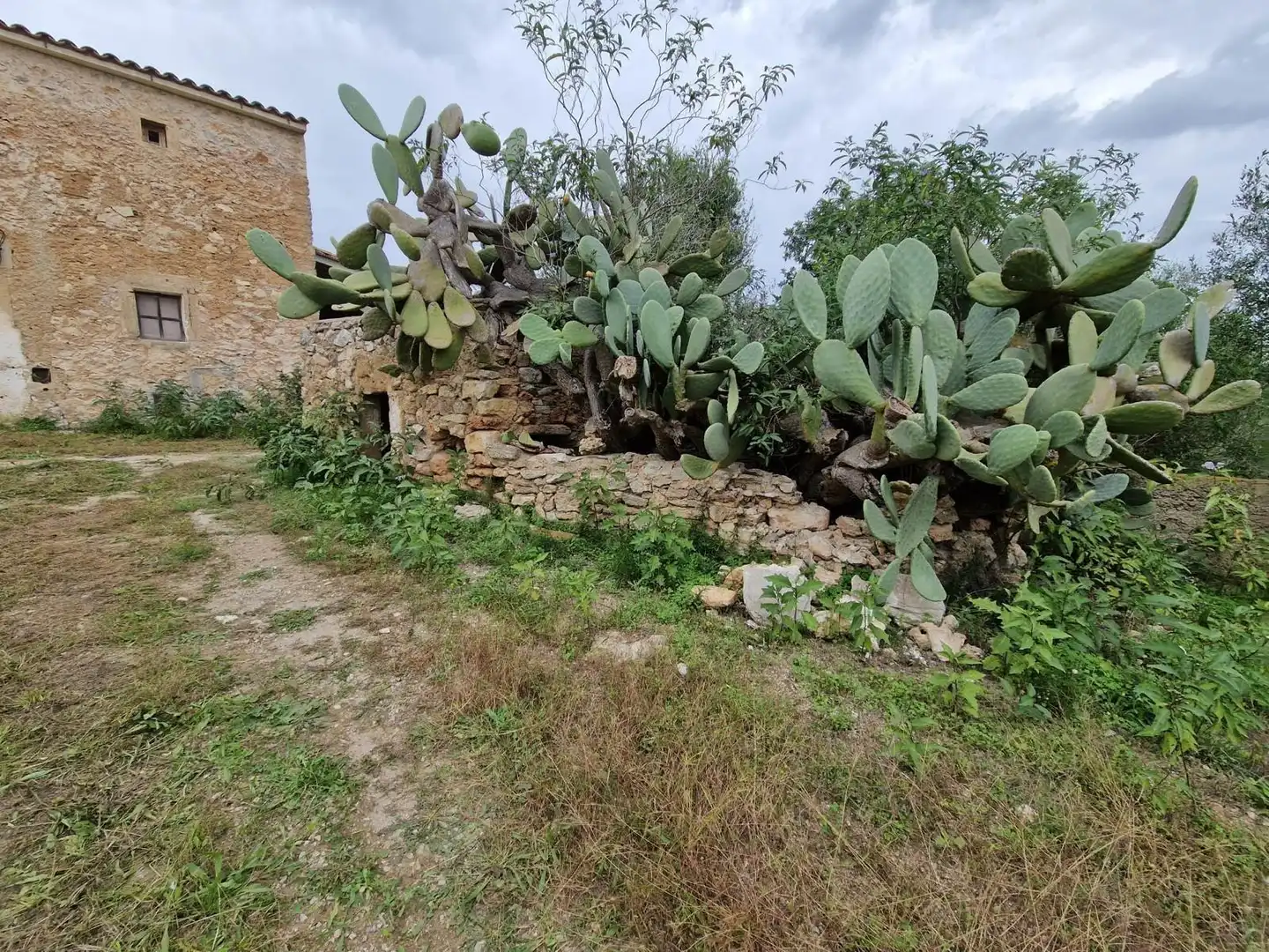 Maison rustique à vendre à Son Servera Poble, imagen 7