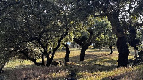 Foto 2 de Finca rústica en venda a Lugar la Mula, Valencia de Alcántara, Cáceres