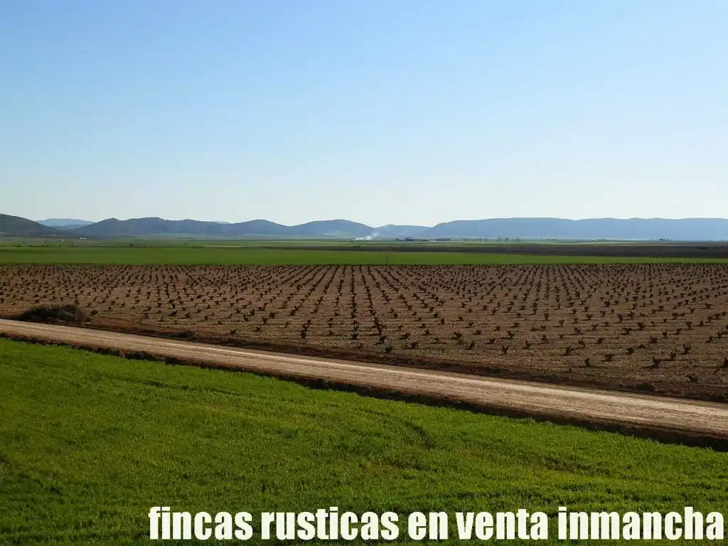 Terreni e lotti in vendita a Madridejos