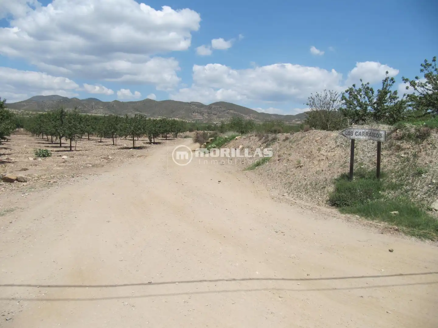 Terreny rústic en venda a Puerto Lumbreras, imagen 5