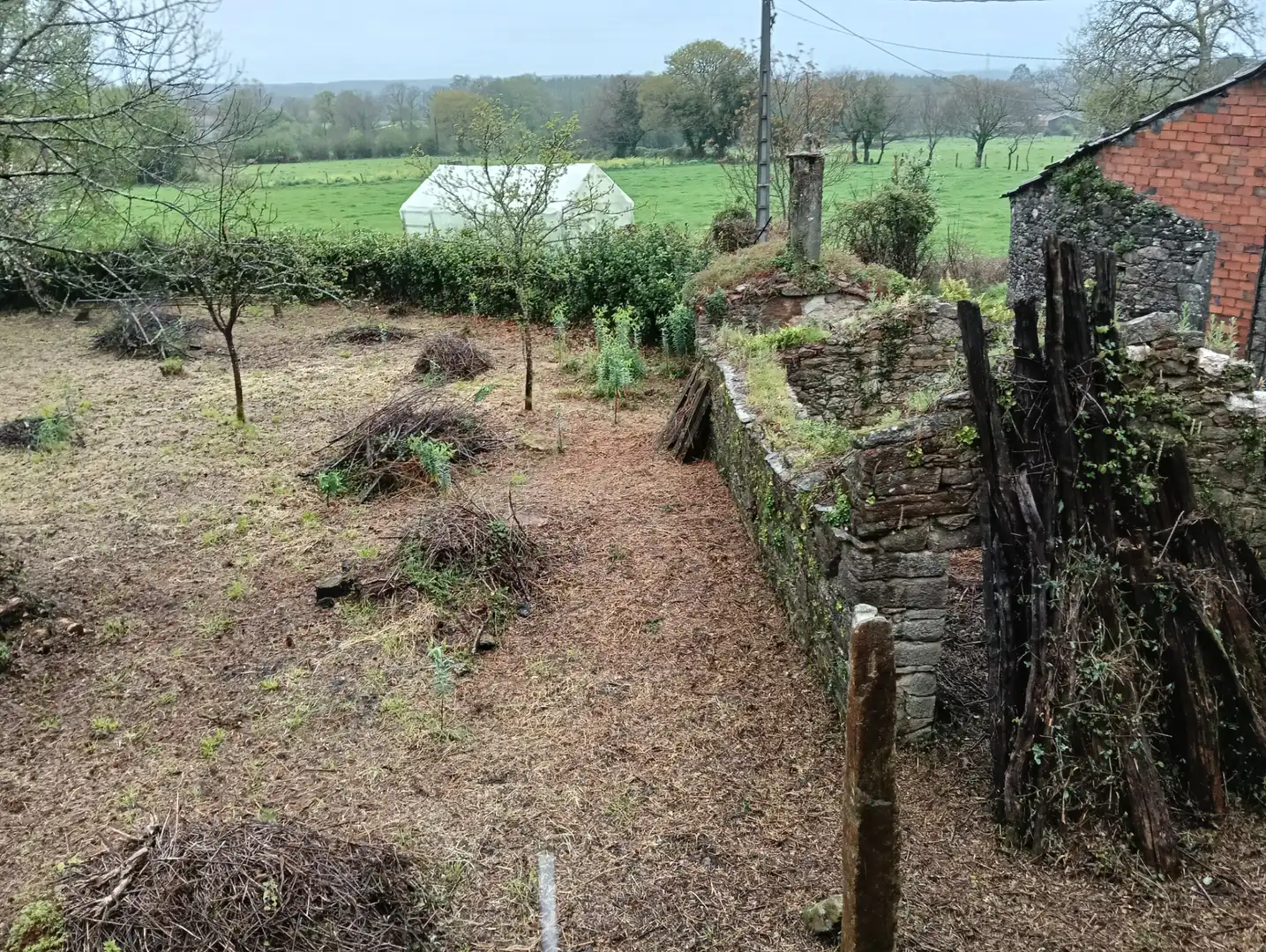 Adossat amb jardí en venda a Curtis, imagen 40
