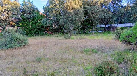 Photo 2 of Residential for sale in Raya del Palancar - Guadamonte, Madrid