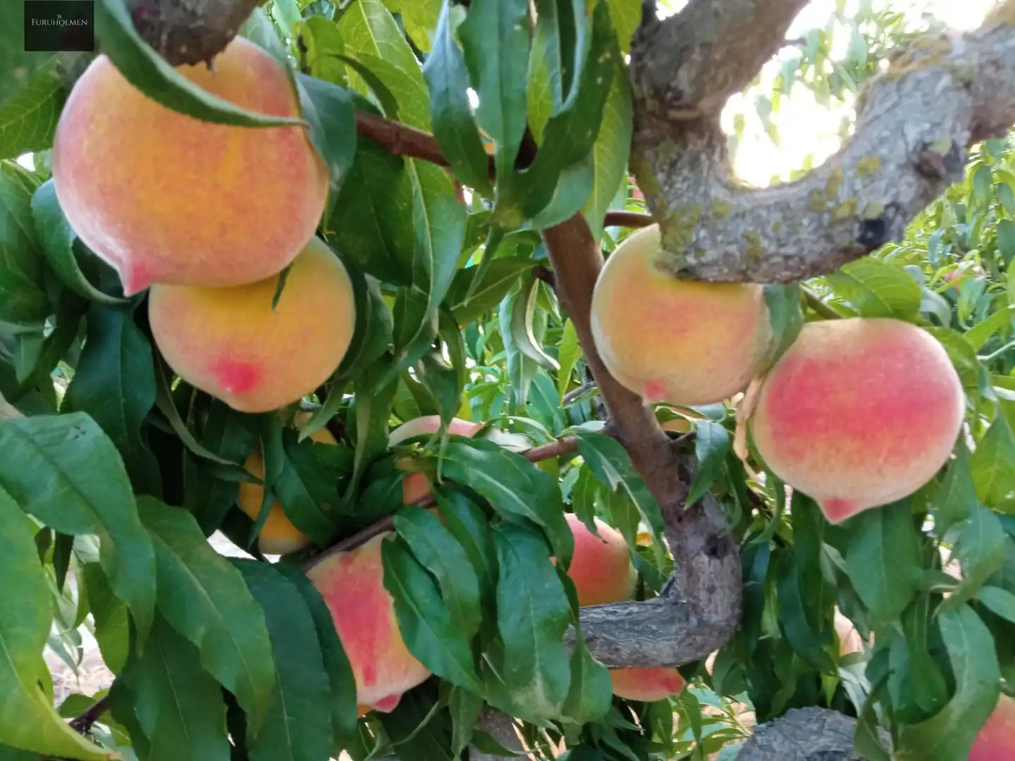 Casa rústica en venda a Pinos Puente, imagen 27