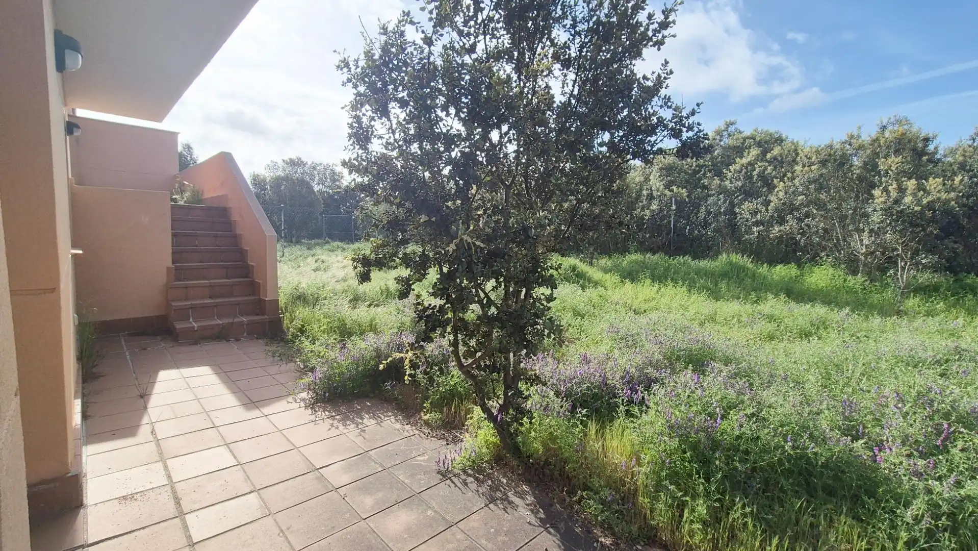 Garden of Detached homes for sale in Carrascal de Barregas