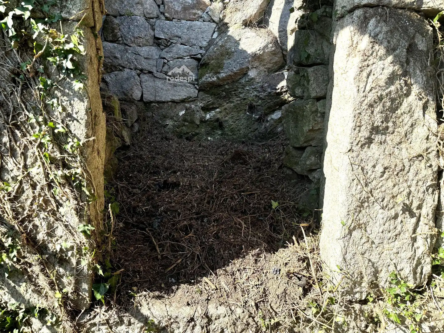 Jardí de Casa o xalet en venda en Covelo amb Traster