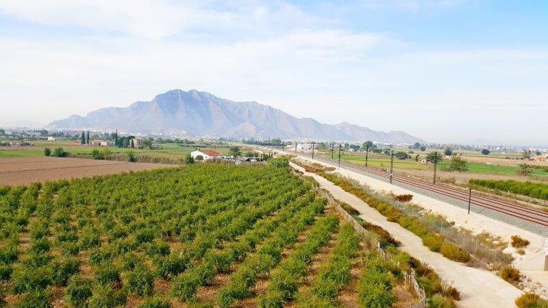 Außenansicht von Country house zum verkauf in Callosa de Segura