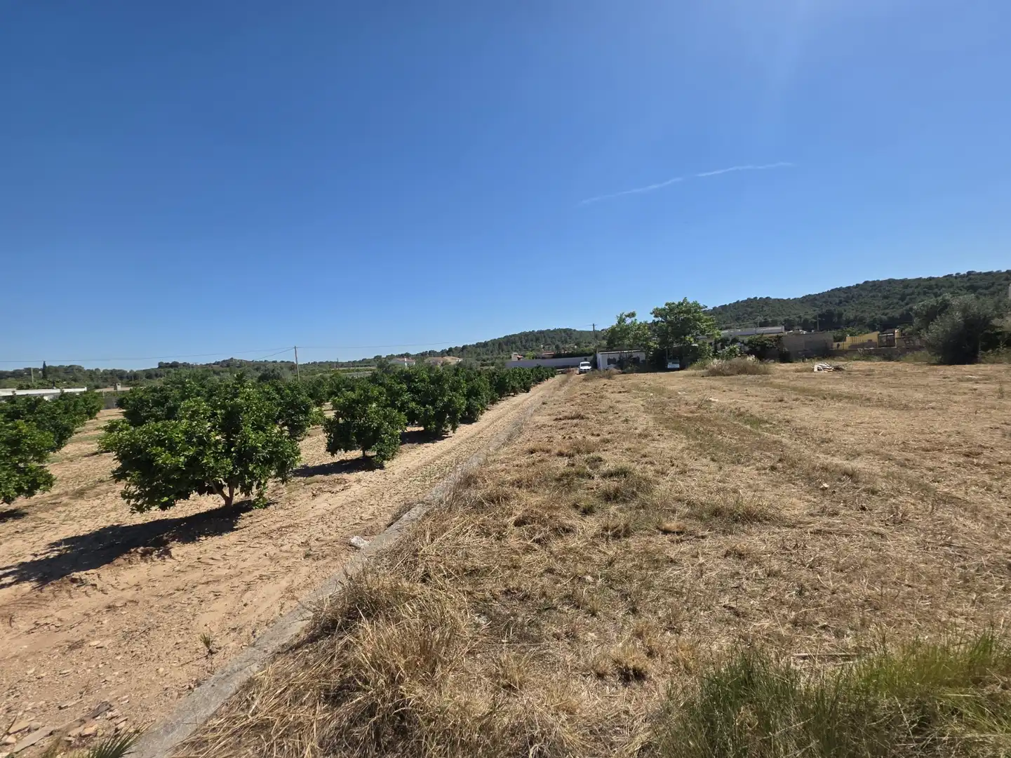 Rural land for sale in Vilamarxant, imagen 6