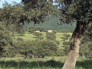 Photo 5 of Land for sale in Norte, Badajoz