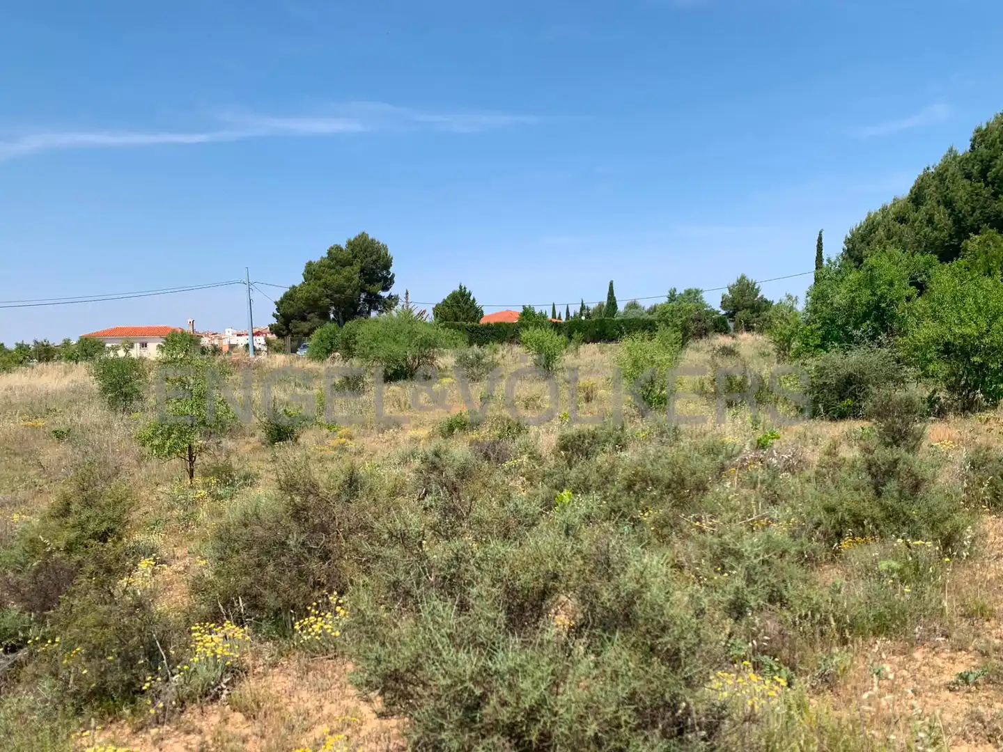 Terreny rústic en venda a Requena, imagen 22