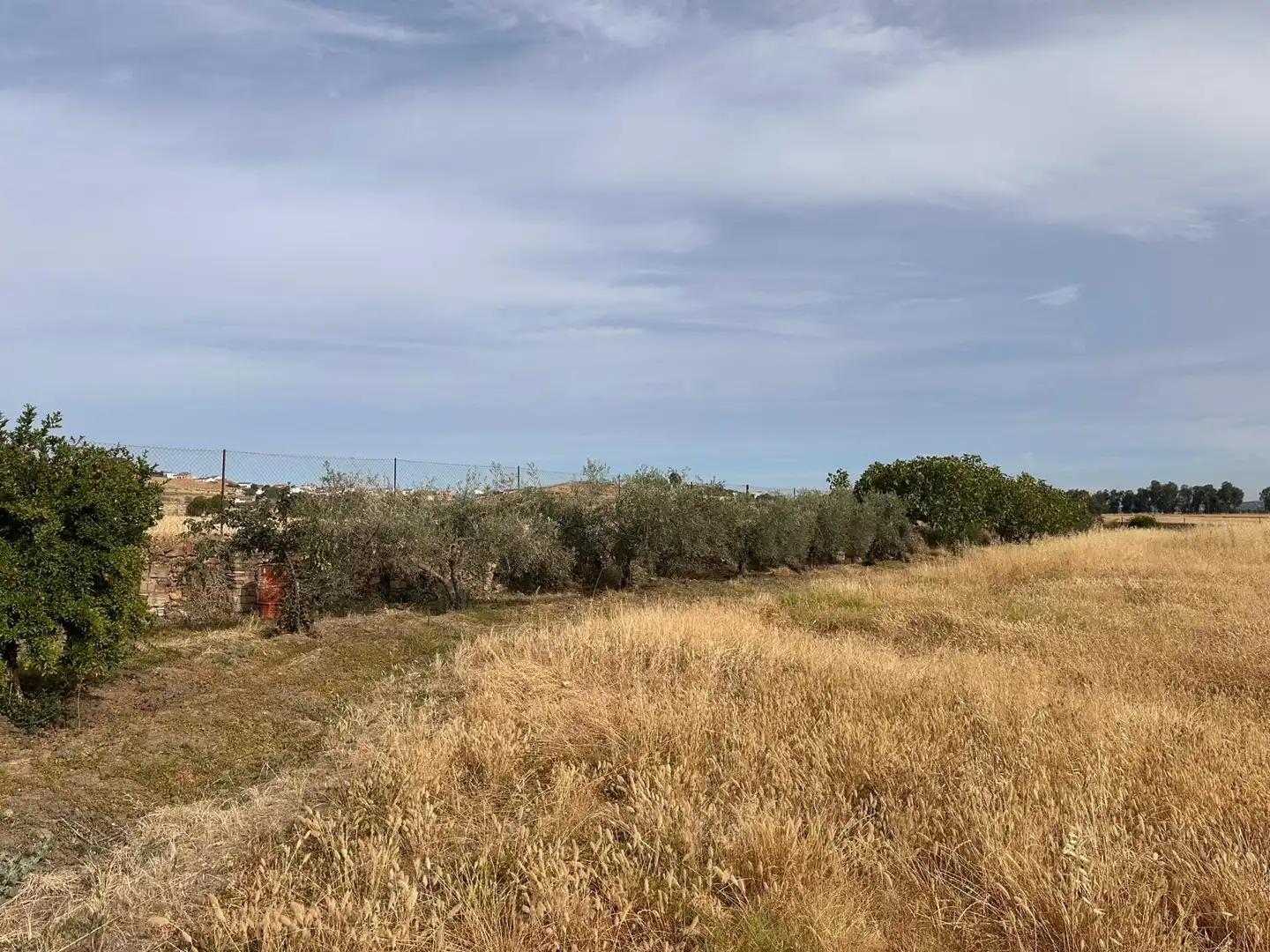 Rural land for sale in Fuente Obejuna, imagen 40