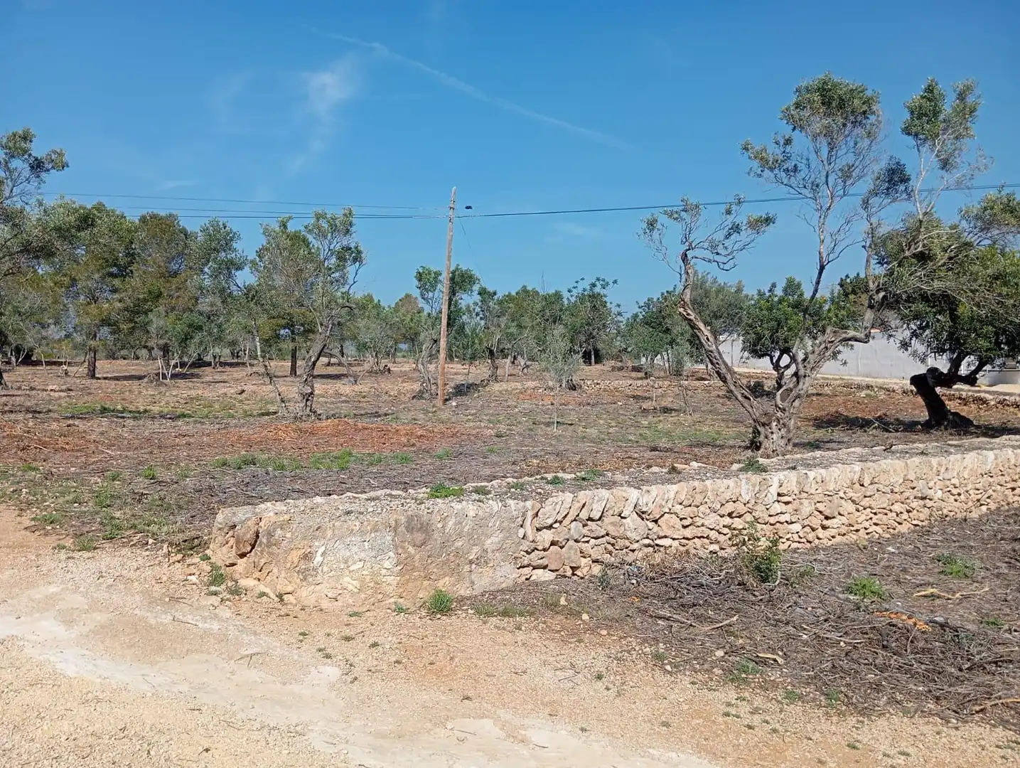 Finca rústica en venta en L'Ampolla