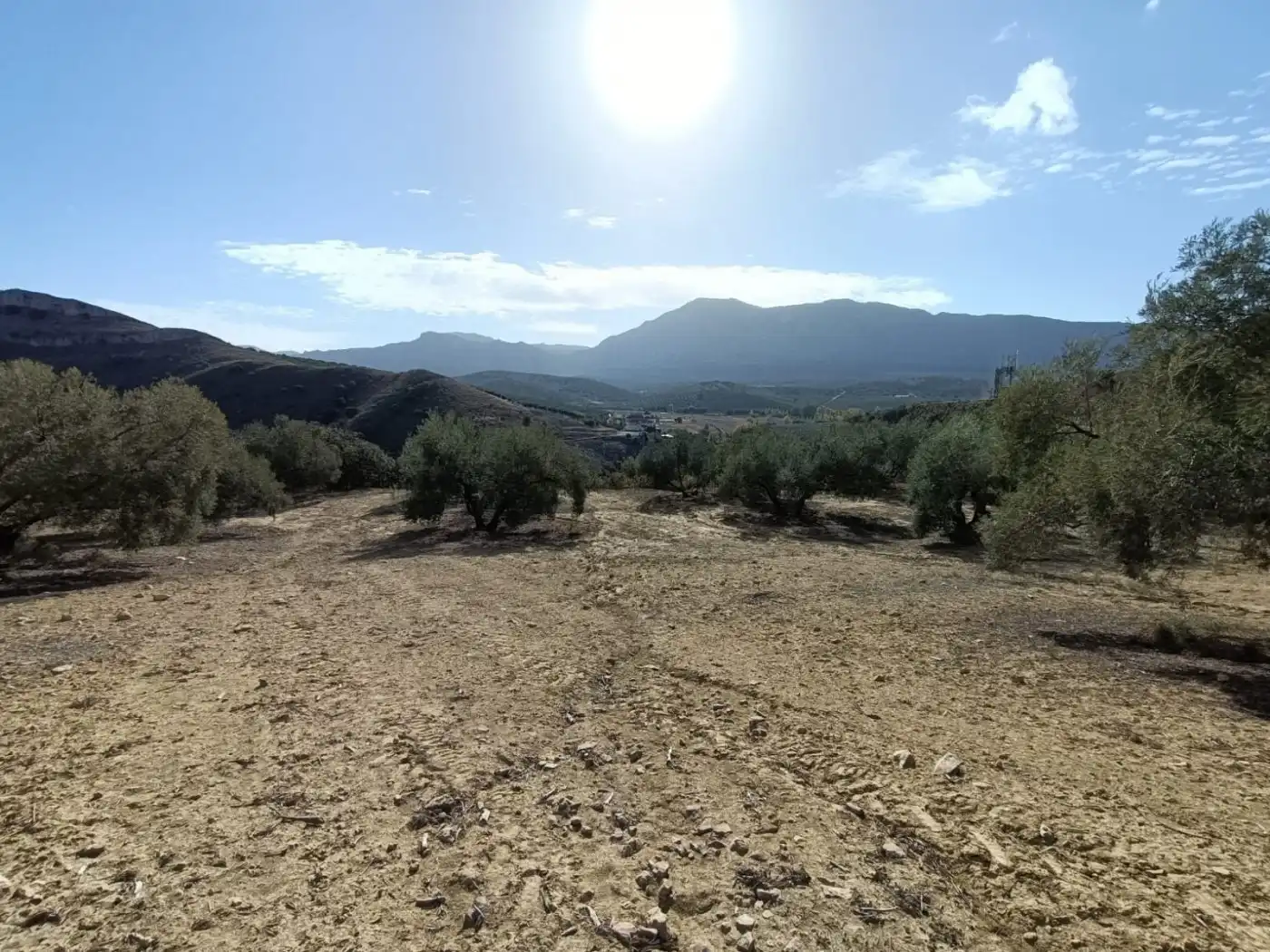 Terreni e lotti in vendita a Bobadilla - Bobadilla Estación - La Joya, imagen 2