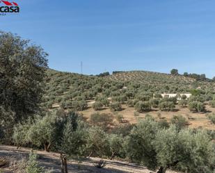 Grundstücke zum verkauf in De Albolote, Calicasas