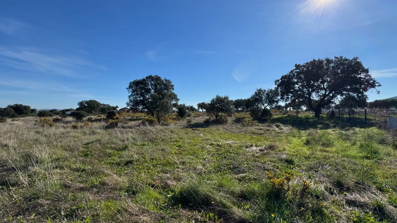 Terreno en venta en Cáceres