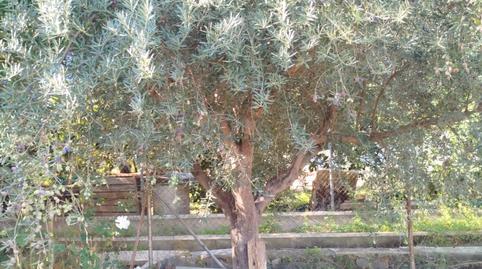 Photo 5 of Country house for sale in Garres y Lages, Murcia