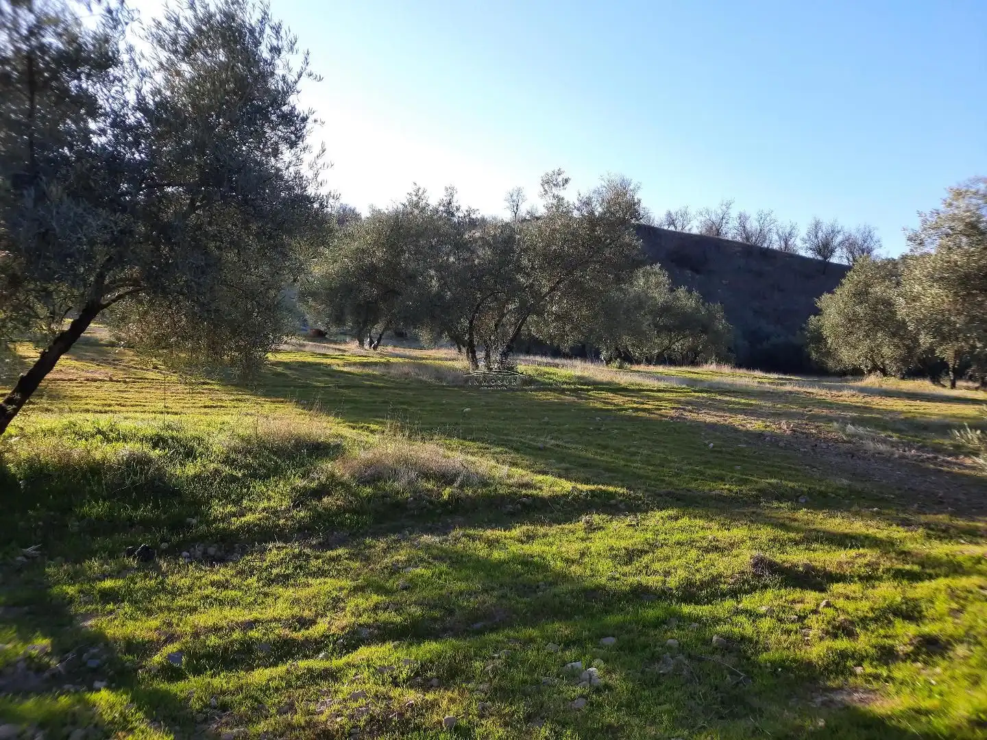 Terreno residencial en venta en Jauja, imagen 15