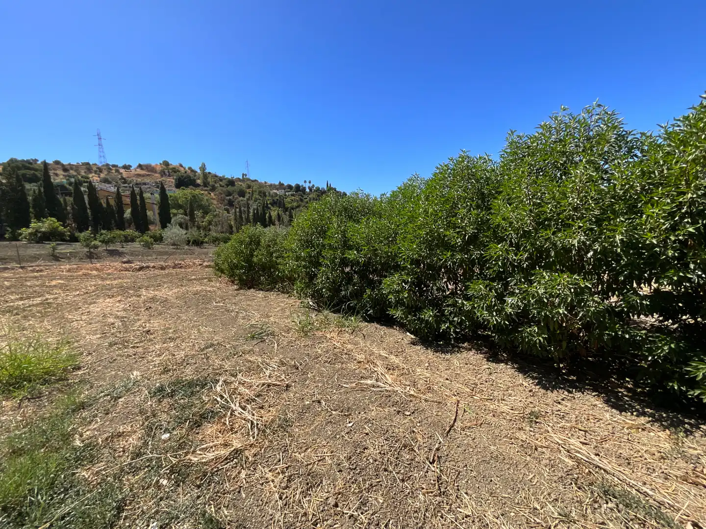 Finca rústica en venda en Coín