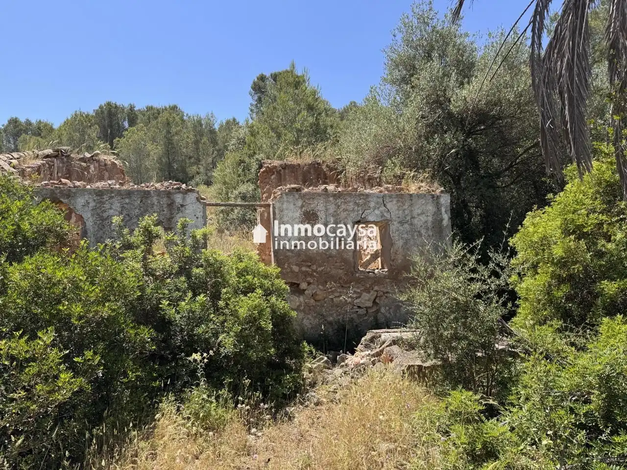 Terreno en venta en Montesa