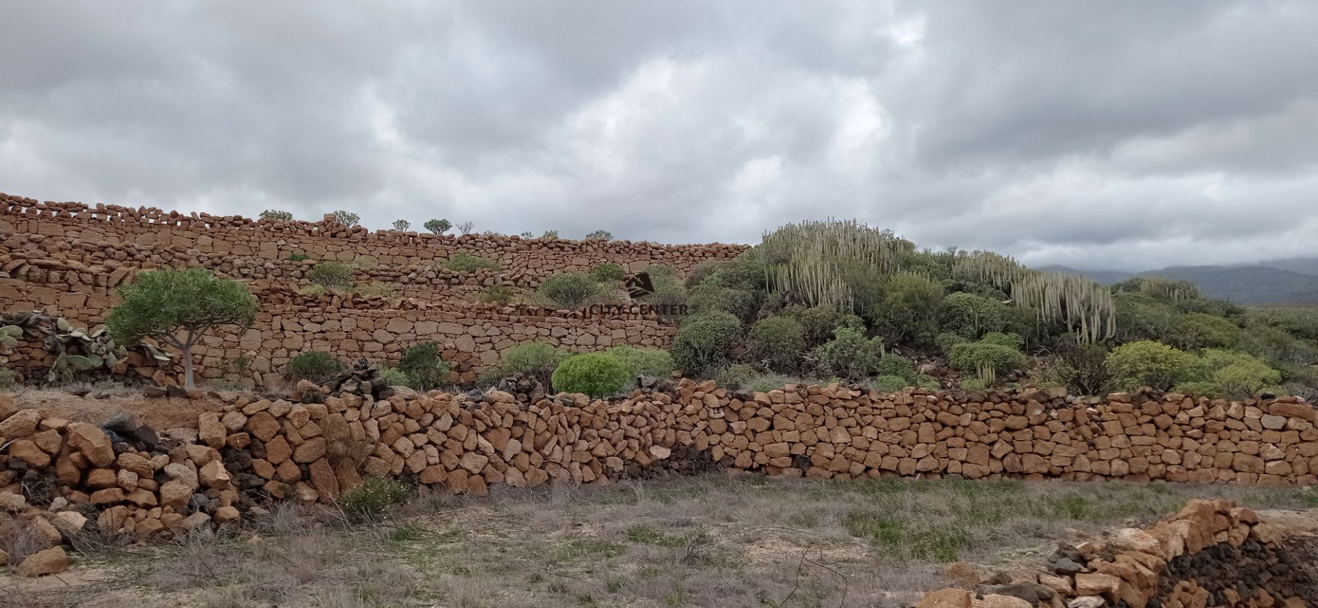 Land for sale in Granadilla de Abona