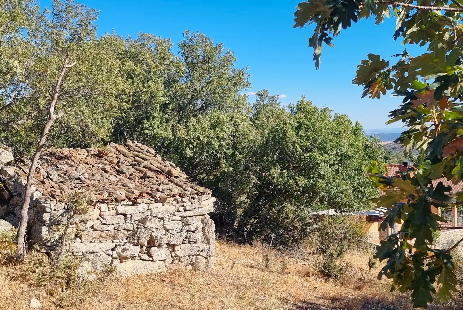 Terreno rustico in vendita a Carretera de Valdemanco 33, imagen 15