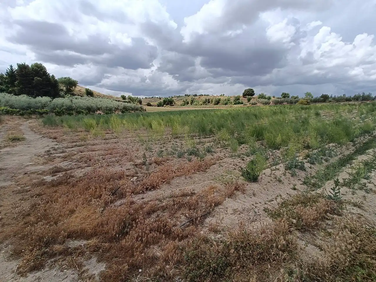 Rural land for sale in Moraleda de Zafayona, imagen 2