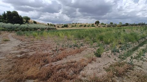 TIERRA DE REGADIO EN MORALEDA DE ZAFAYONA, imagen 2
