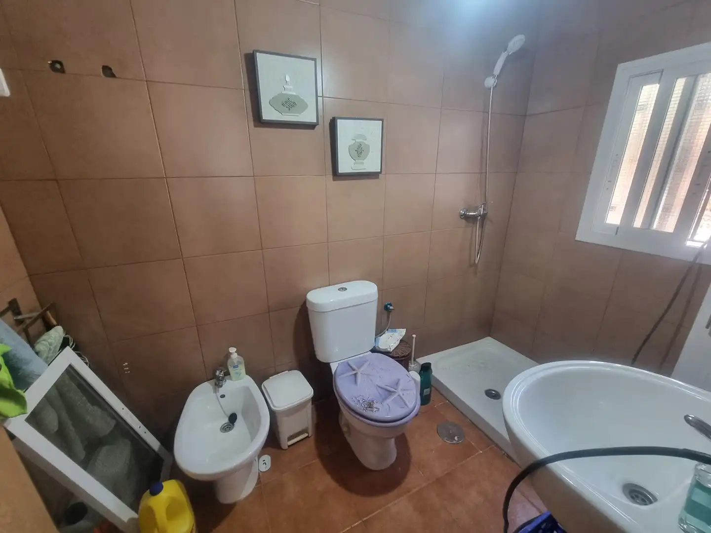 Baño de Terreno en venta en Senés