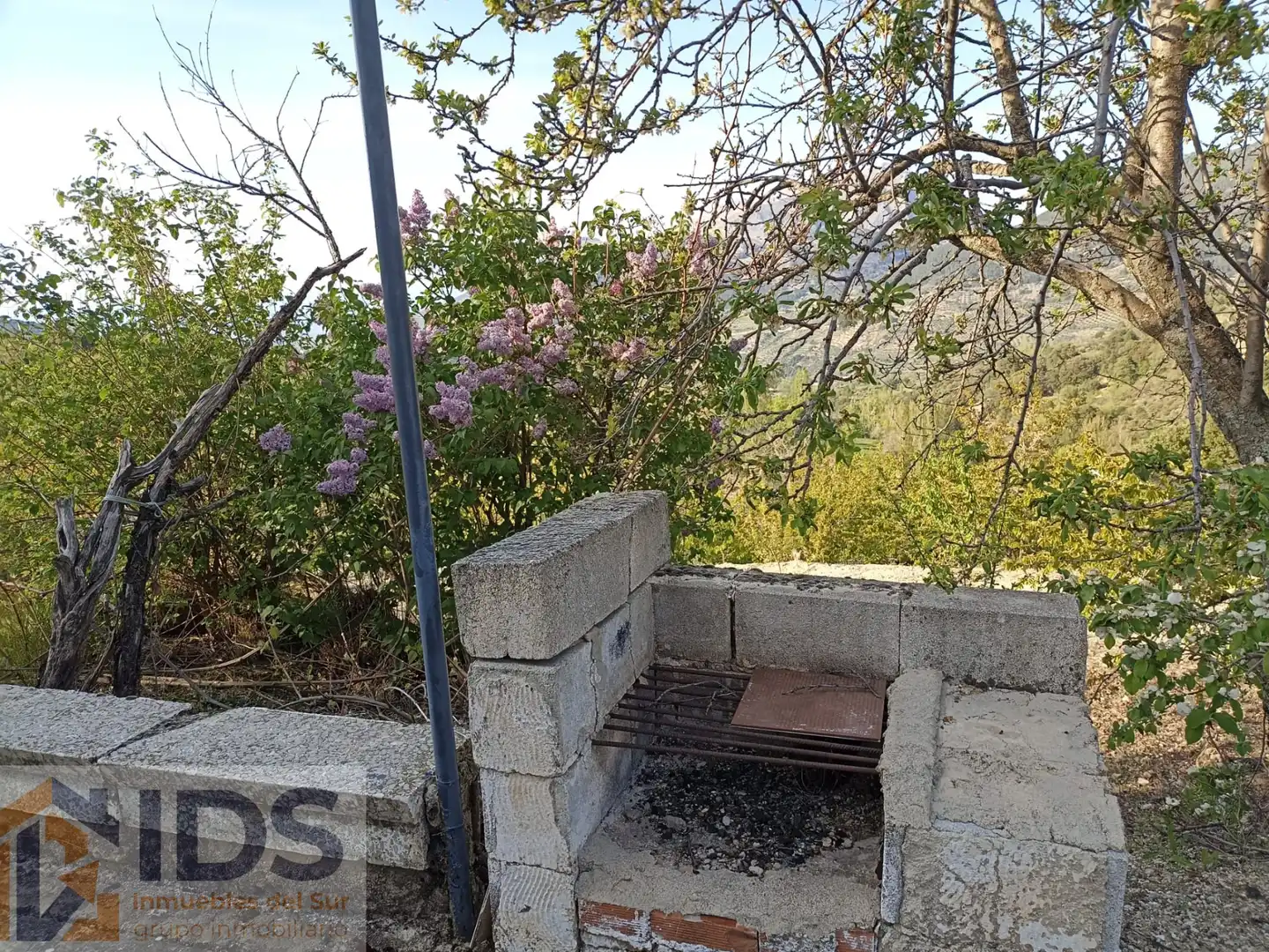 Vista exterior de Casa o chalet en venta en Albanchez de Mágina con Jardín privado y Piscina