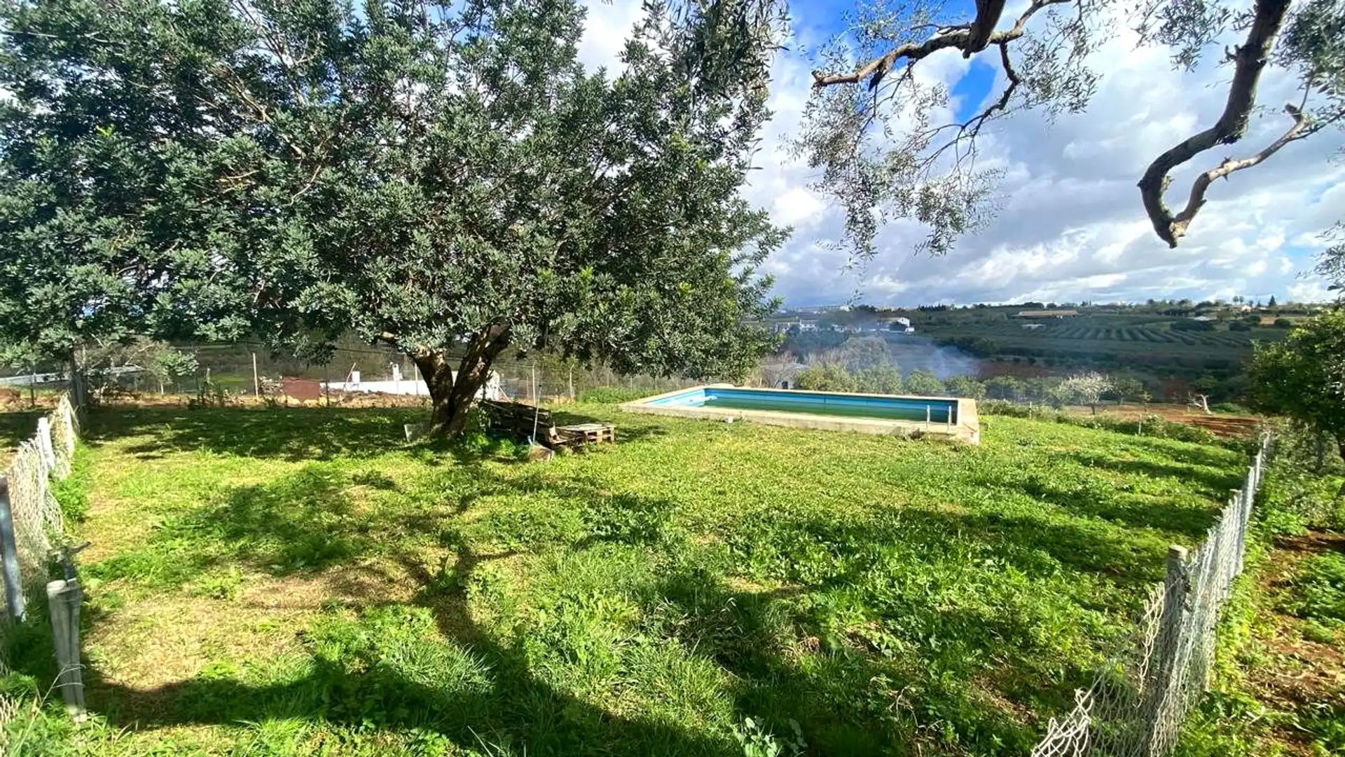 Jardín de Finca rústica en venta en El Viso del Alcor