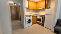 Kitchen of Study to rent in El Campello