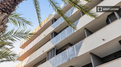 Photo 3 of Apartment to share in Avenida Habaneras - Curva de Palangre, Alicante