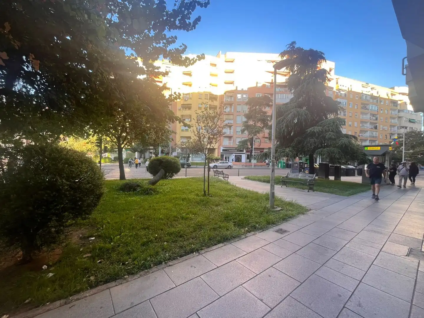 Local en venda a Avenida Fernando Calzadilla, 27, Pardaleras