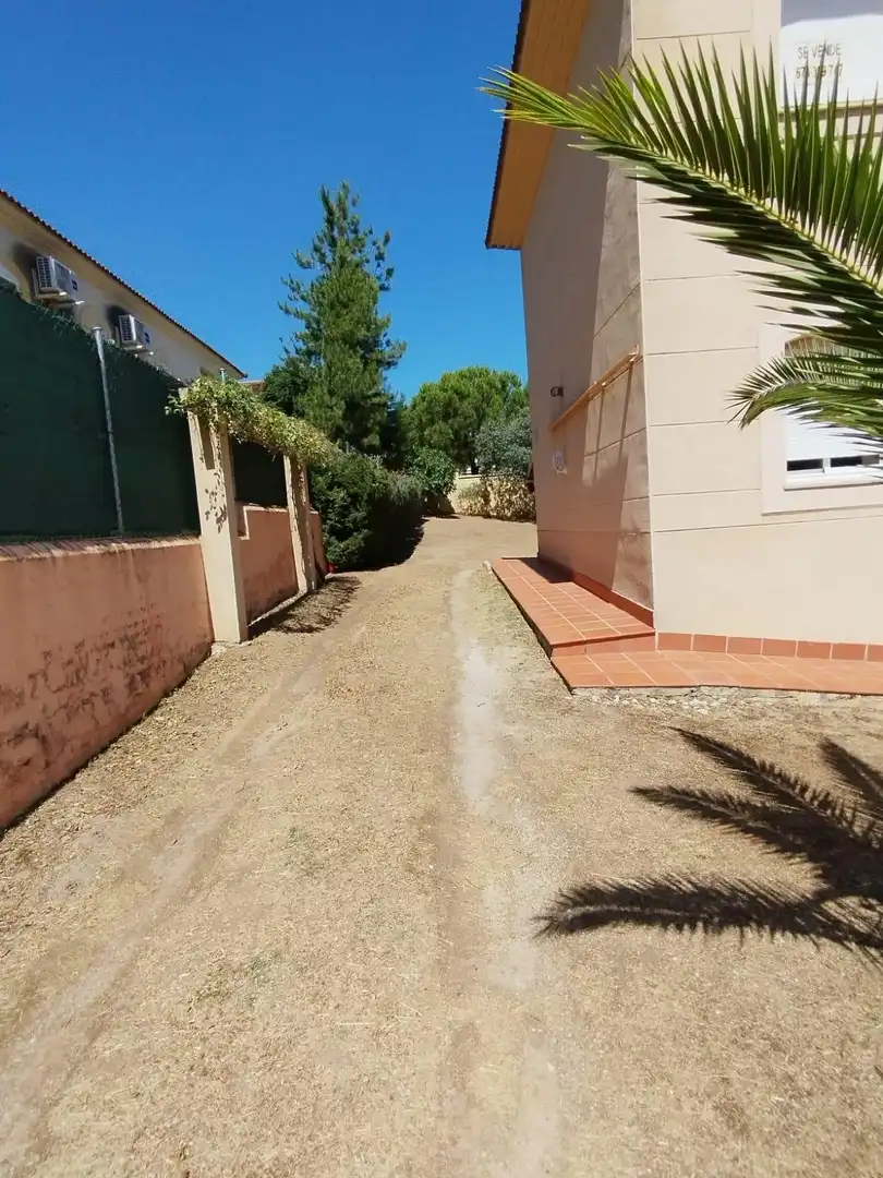 Vista exterior de Casa o xalet en venda en Cáceres amb Aire condicionat, Calefacció i Jardí privat
