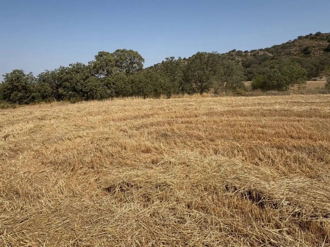 Terreno en venta en San Esteban de Litera