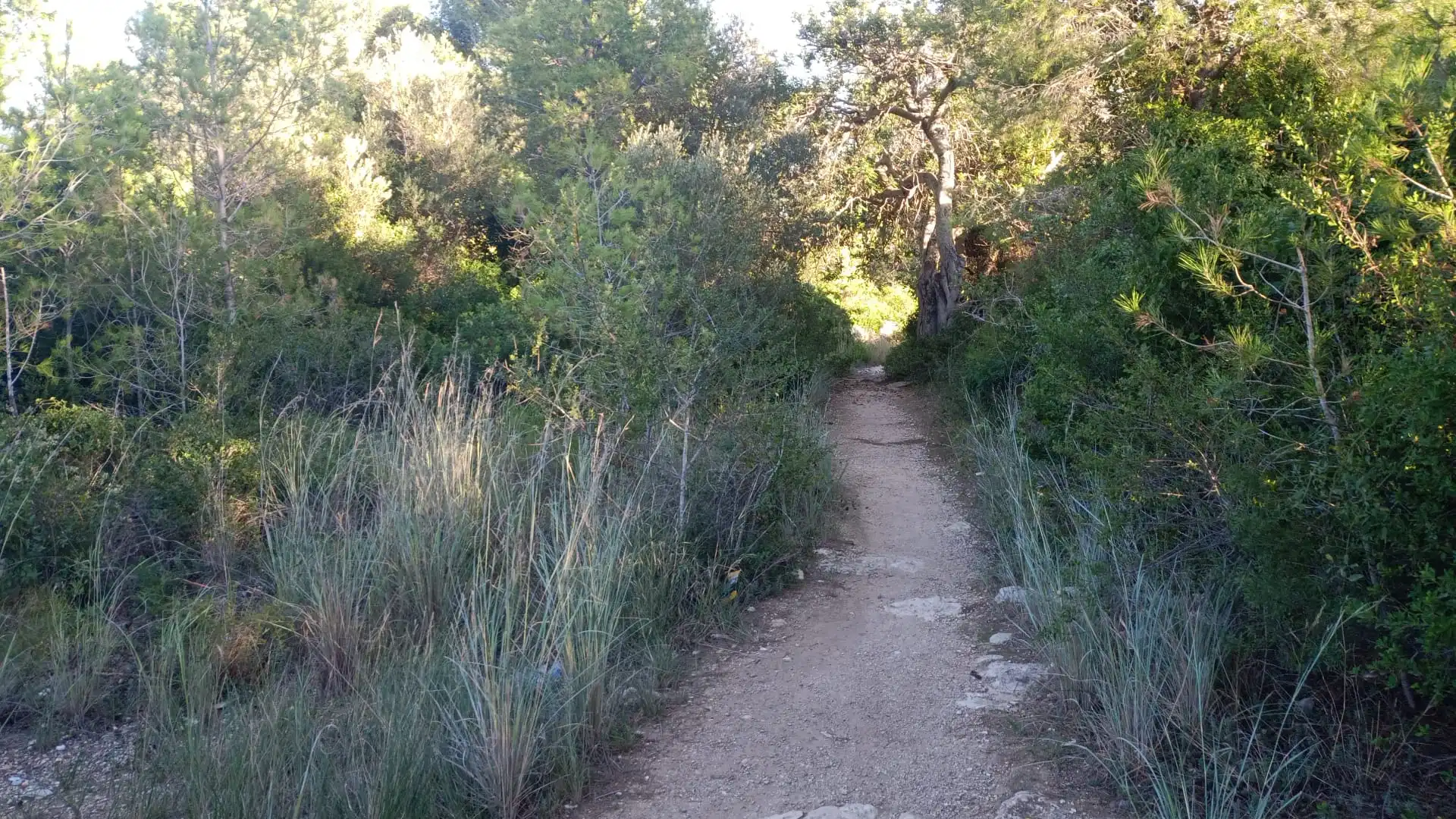Vista exterior de Terreno en venta en El Vendrell