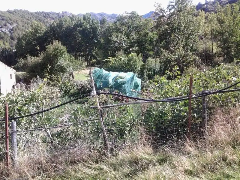 Casa rústica amb jardí en venda a Guadix, imagen 11