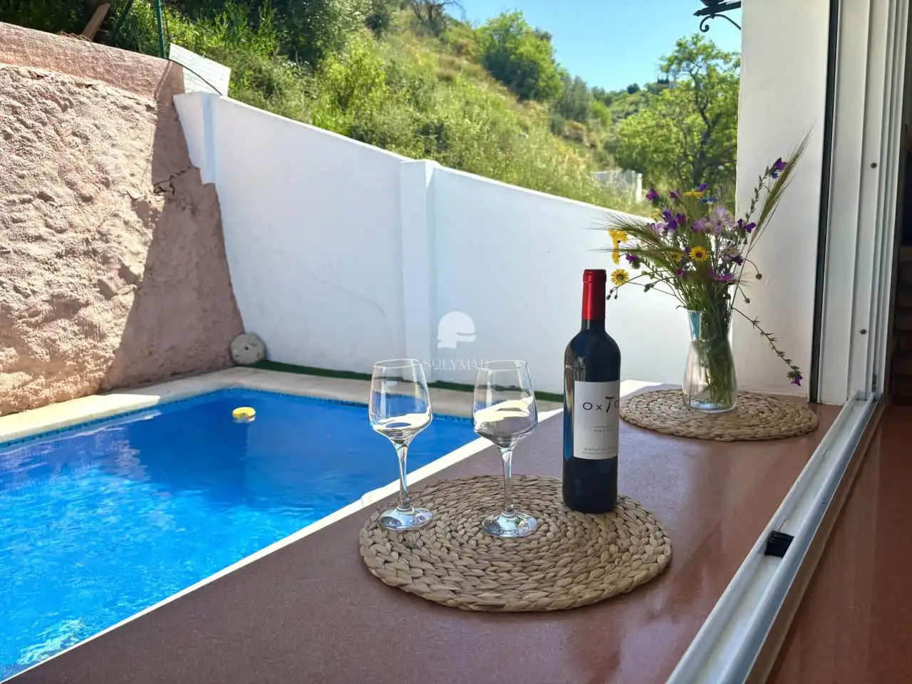 Schwimmbecken von Haus oder Chalet zur Miete in Canillas de Aceituno mit Klimaanlage, Privatgarten und Terrasse