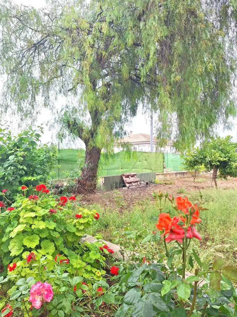 Country homes for sale in Sangonera la Seca