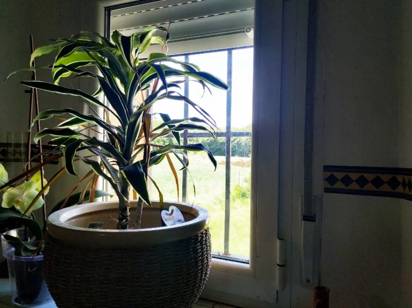 Casa o xalet en venda en Valle de Valdelucio amb Calefacció, Jardí privat i Parquet