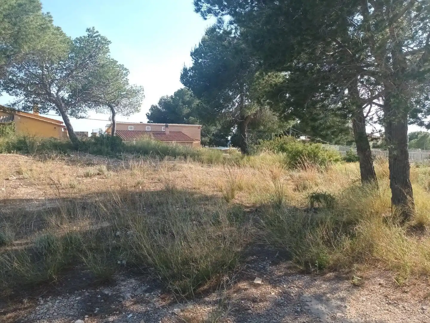 Terrain rustique à vendre à Carrer Antoni Gaudí, 17, Roda de Berà, Spain, imagen 6