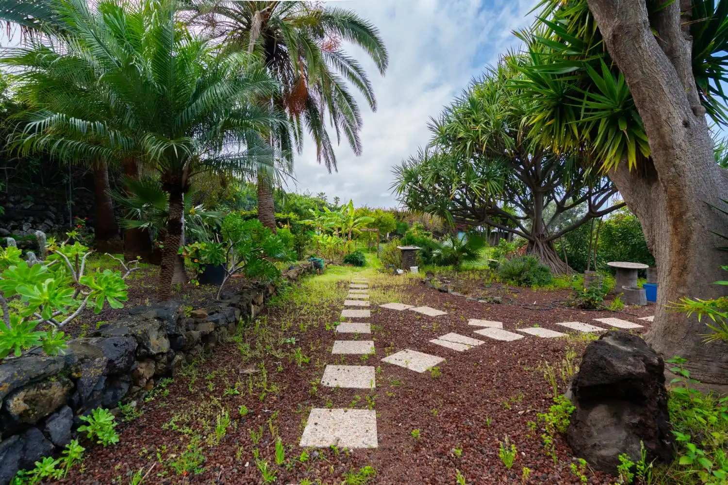 Jardí de Casa o xalet en venda en Santa Úrsula amb Traster