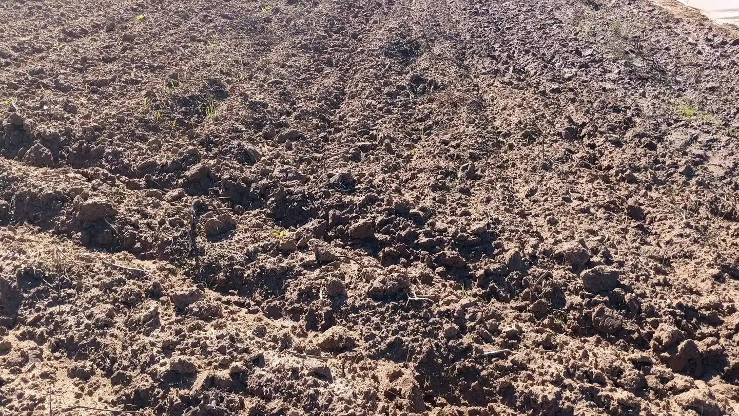 Terreni e lotti in vendita a Chipiona, imagen 6
