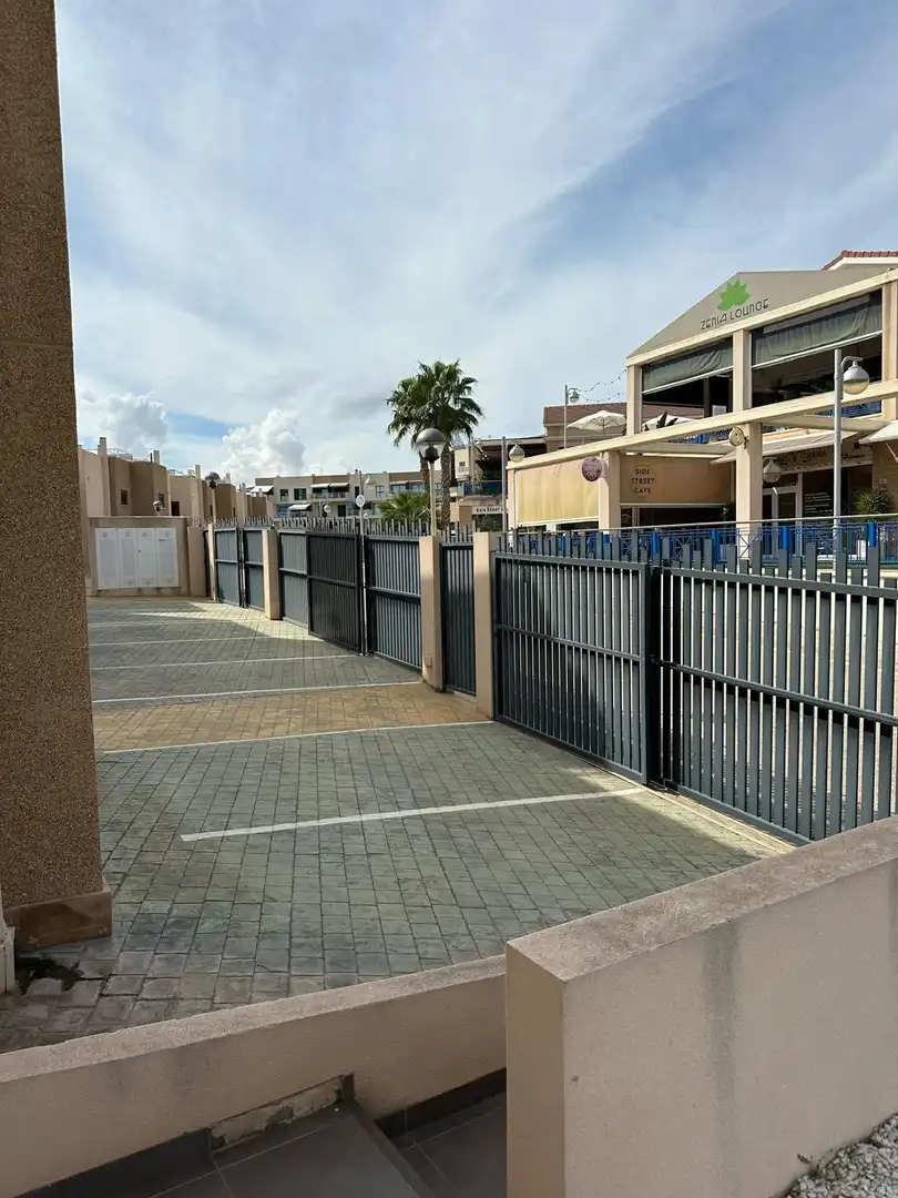 Bungalow amb piscina en venda a Calle NARANJO-ZENIA II, imagen 46