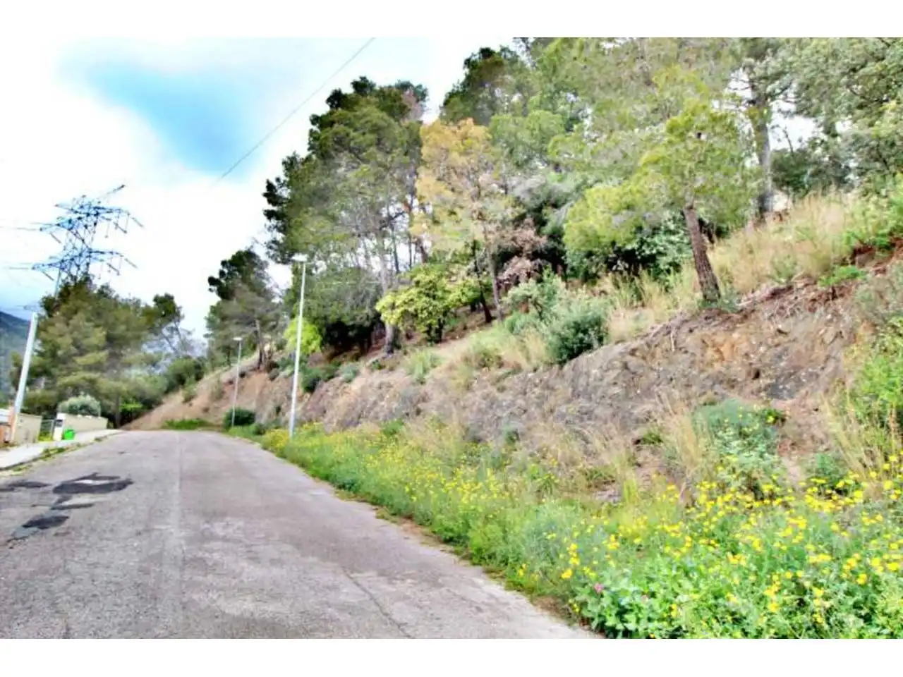 Rural land for sale in Calle Llosa, imagen 6
