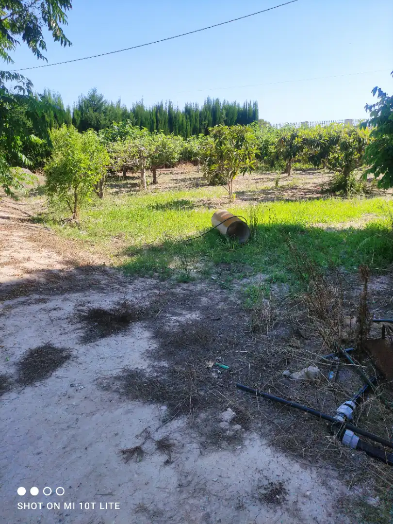 Detached house with pool for sale in La Foia - Daimés - Asprella, imagen 34