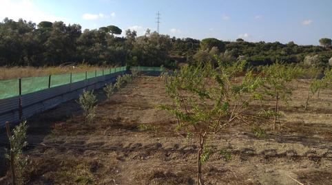 Photo 5 of Land for sale in Paseo Marítimo - San José - La Laguna, Cádiz