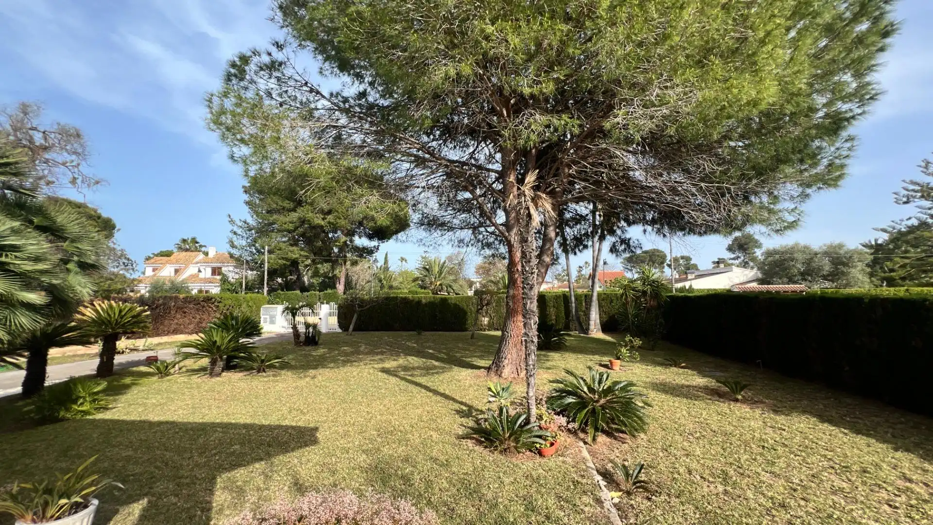 Jardín de Casa o chalet en venta en Castellón de la Plana / Castelló de la Plana con Aire acondicionado, Calefacción y Jardín privado
