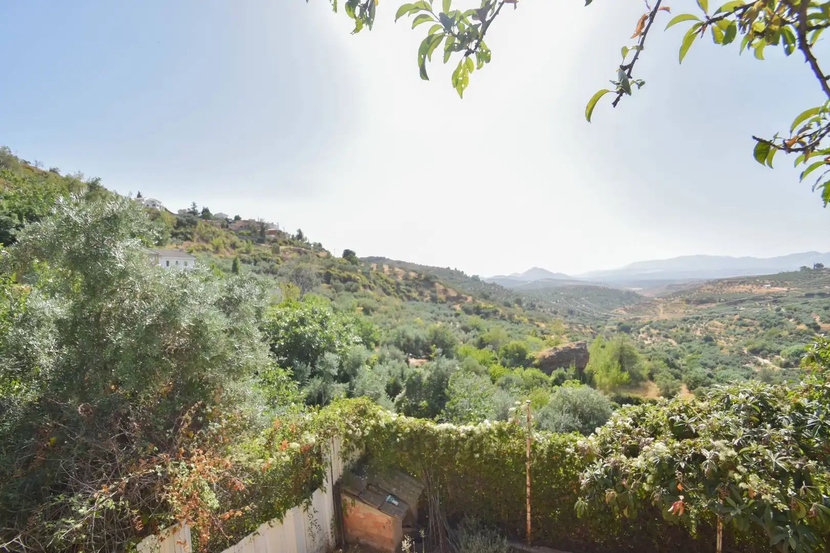 Jardín de Casa o chalet en venta en Nívar con Jardín privado, Terraza y Trastero