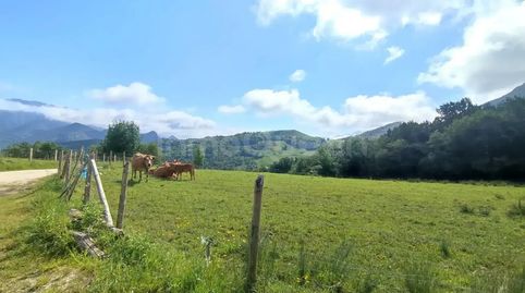 Venta de Terreno rústico en Cabrales  REES40107, immagine 3